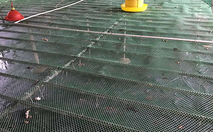 水產養(yǎng)殖塑料網